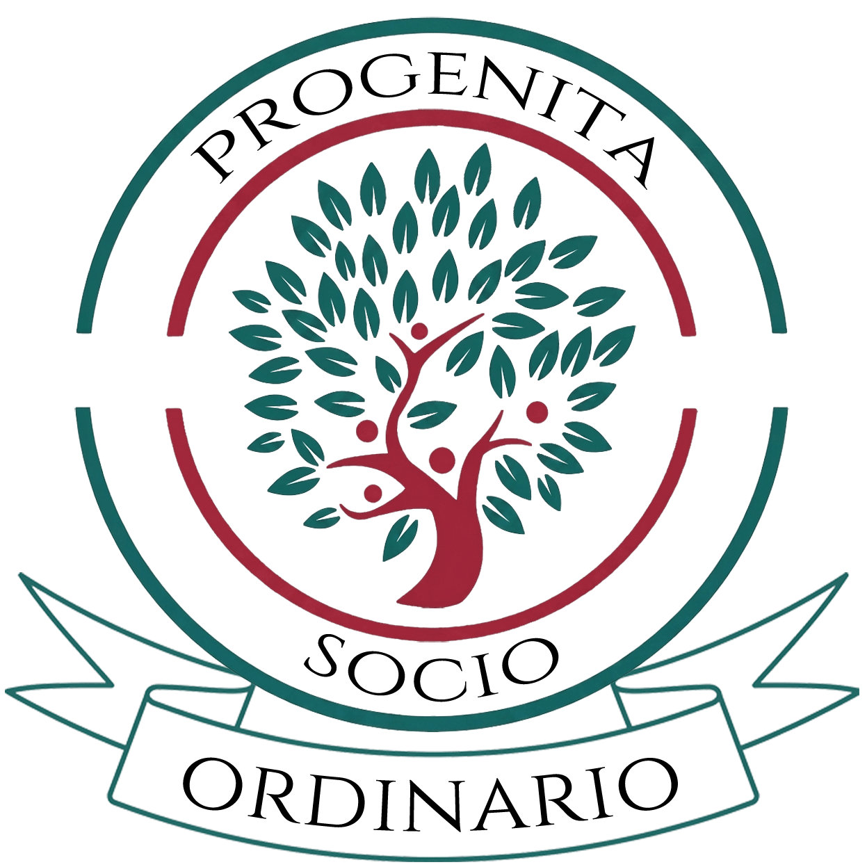 Socio Ordinario